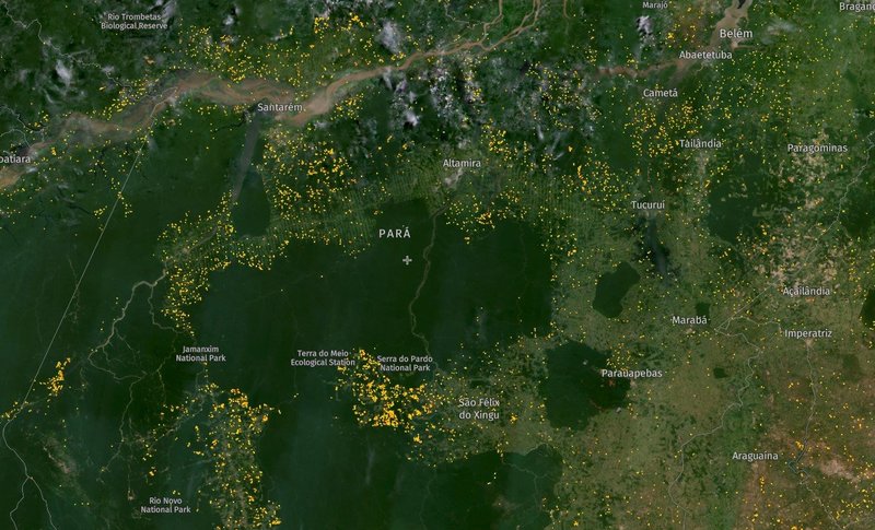 Global Forest Watch’s fire alerts database shows the extent of fire season across Pará between August and November 2023, with each yellow dot denoting a fire event.
